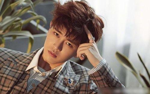 吃瓜娱乐任嘉伦完整版,揭秘明星幕后趣事